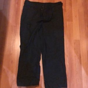 Aritzia Babaton Japanese Fabric Pants size 10